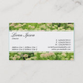 センターバンド(エッジ) – セダム(秋の喜び) 名刺 (裏面)