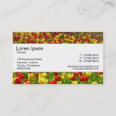 センターバンド – チューリップ海 名刺 (裏面)