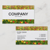 センターバンド – チューリップ海II 名刺 (正面/裏面)