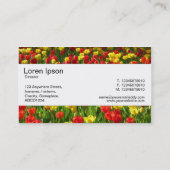 センターバンド – チューリップ海III 名刺 (裏面)