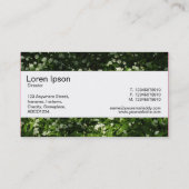 センターバンド – ワイルドニンニク 名刺 (裏面)