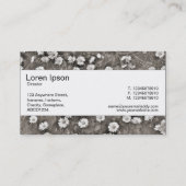 センターバンド – 古代のデイジー 名刺 (裏面)