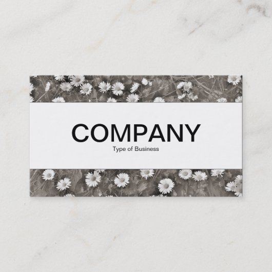 センターバンド – 古代のデイジー 名刺 (正面)