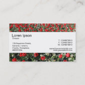 センターバンド – 赤いチューリップとプリムローズ 名刺 (裏面)