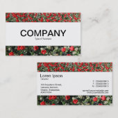 センターバンド – 赤いチューリップとプリムローズ 名刺 (正面/裏面)