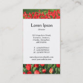 センターバンド – 赤いチューリップ 名刺 (裏面)