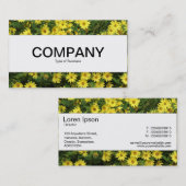 センターバンド – 黄デイジー 名刺 (正面/裏面)