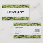 センターバンド – Sedum (Autumn Joy) 名刺 (正面/裏面)