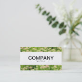 センターバンド – Sedum (Autumn Joy) 名刺 (スタンド正面)