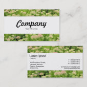 センターバンド – Sedum (Autumn Joy) 名刺 (正面/裏面)