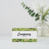 センターバンド – Sedum (Autumn Joy) 名刺 (スタンド正面)