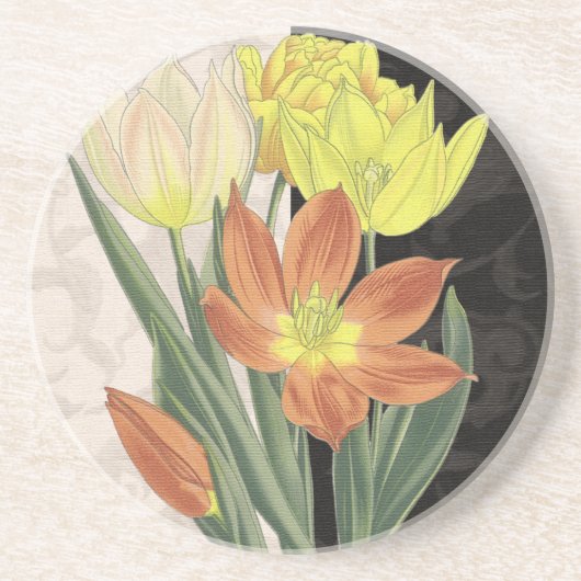 センターピースII コースター (正面)