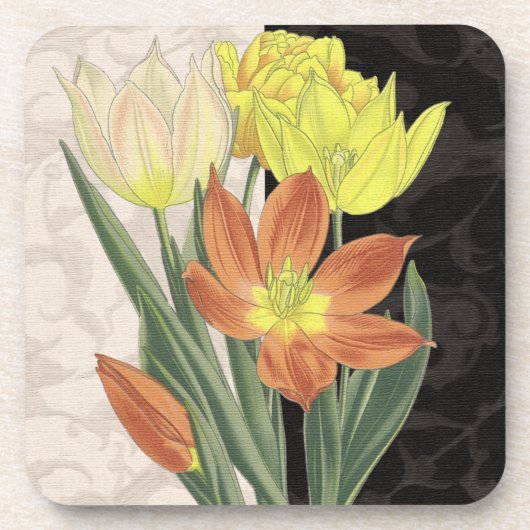 センターピースII コースター (正面)