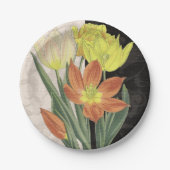 センターピースII ペーパープレート (正面)