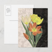 センターピースII ポストカード (正面/裏面)