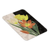 センターピースII マグネット (右側)