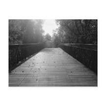 センターブリッジシークエル – 白黒