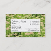 センターラベル – セダム（秋の喜び） 名刺 (裏面)