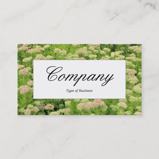 センターラベル – セダム（秋の喜び） 名刺 (正面)