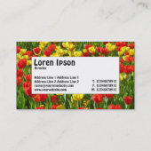 センターラベル – チューリップ海III 名刺 (裏面)