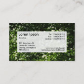 センターラベルv3 – ワイルドガーリック 名刺 (裏面)