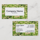 センターラベルv4 – セダム(秋の喜び) 名刺 (正面/裏面)