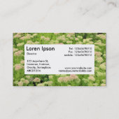 センターラベルv4 – セダム(秋の喜び) 名刺 (裏面)