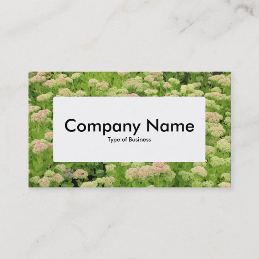 センターラベルv4 – セダム(秋の喜び) 名刺 (正面)