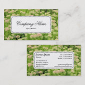 センターラベルv5 – セダム（秋の喜び） 名刺 (正面/裏面)