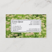 センターラベルv5 – セダム（秋の喜び） 名刺 (裏面)