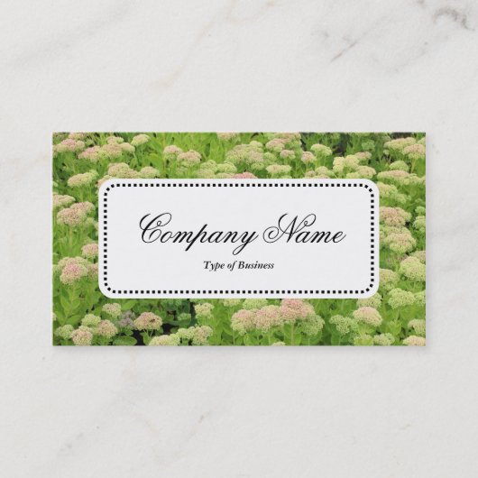 センターラベルv5 – セダム（秋の喜び） 名刺 (正面)