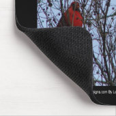 センチネルスブルージェイと（鳥）ショウジョウコウカンチョウバイリーヒラー マウスパッド (コーナー)