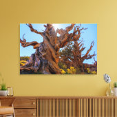 センチネルツリー キャンバスプリント (インサイチュ (リビング))