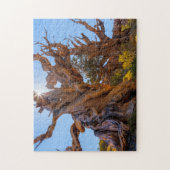 センチネルツリー ジグソーパズル (縦)