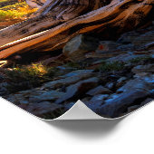 センチネルツリー ポスター (角)