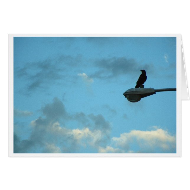 センチネル (正面横)