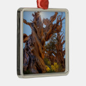 センチネル·ツリー メタルオーナメント (右)