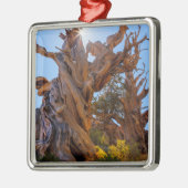 センチネル·ツリー メタルオーナメント (左)