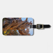 センチネル·ツリー ラゲッジタグ (正面横)