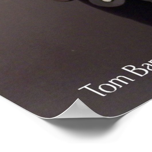 センチネル ポスター (角)