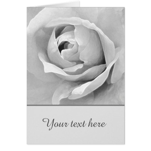 センチメンタルカスタムな白いバラ (正面)