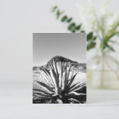 センチュリーアットフォートデイビス ポストカード (スタンド正面)