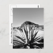 センチュリーアットフォートデイビス ポストカード (正面/裏面)