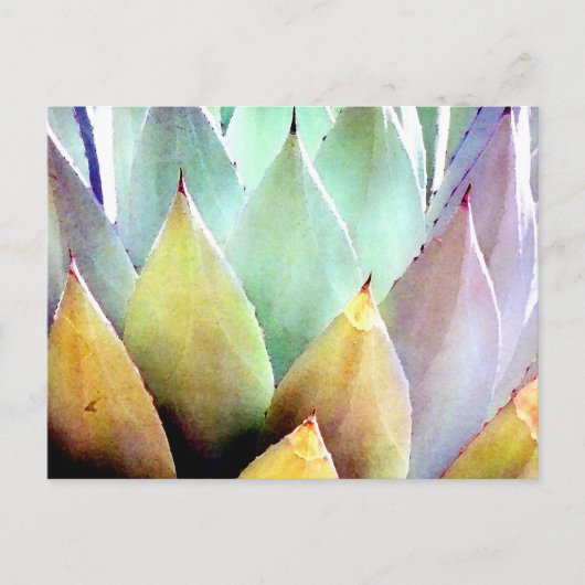 センチュリープラントNo. 1 ポストカード (正面)