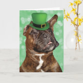 セントおもしろい・パトリックの日アイリッシュボクサードッグ カード (黄色い花)