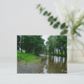 セントアサフの穏やかな川エルヴィー海岸 ポストカード (スタンド正面)