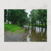 セントアサフの穏やかな川エルヴィー海岸 ポストカード (正面)