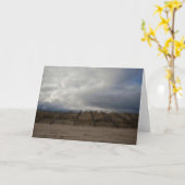 セントアンドリューズビーチ#4 [グリーティングカード] カード (黄色い花)
