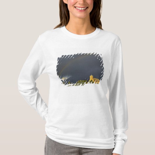 セントイグナシアス歴史地区 イグナティウス Tシャツ (正面)