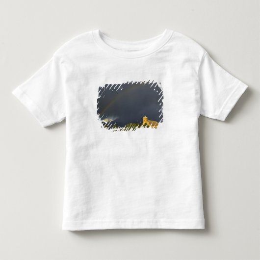 セントイグナシアス歴史的伝道所 セントイグナシアス トドラーTシャツ (正面)